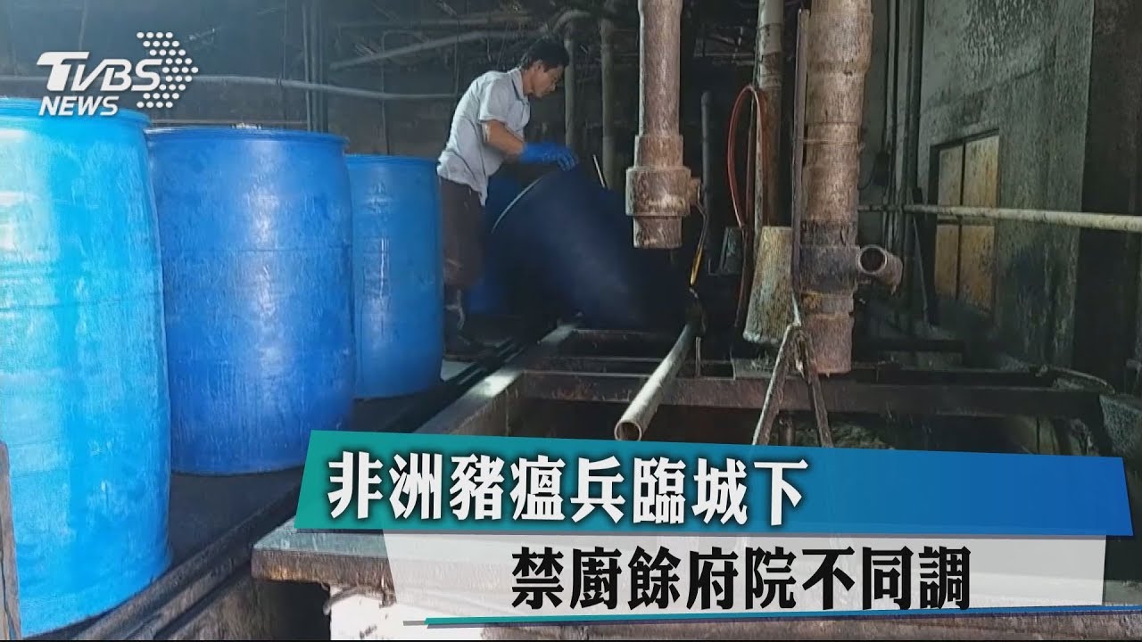 非洲豬瘟兵臨城下 禁廚餘府院不同調
