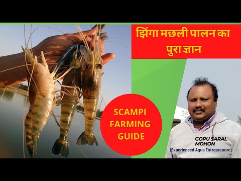 Mrigal Fish Seed video by Anand Krishi Khamar Private Limited