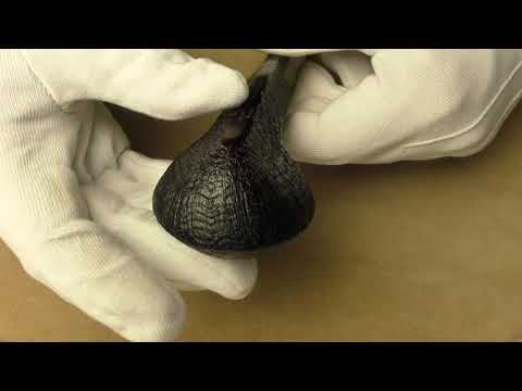 Dunhill Shell Briar 6117 - pipe D435