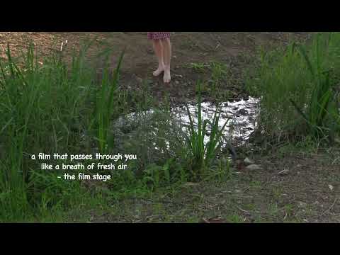 BIFF2024 Trailer l 여행자의 필요 A Traveler’s Needs l 아이콘