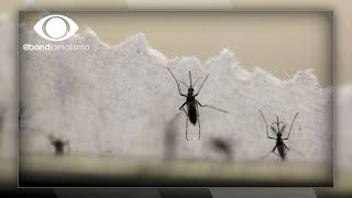 Miniatura do vídeo