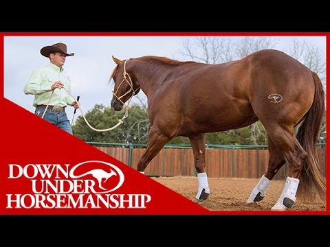 Clinton Anderson: When to use front and back support boots - Downunder Horsemanship