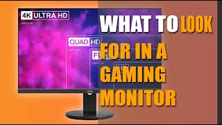 What To Look For In A Gaming Monitor