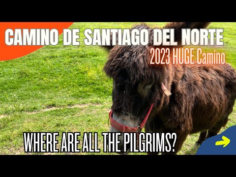 🤫Peace and Quiet 🤫 | Camino del Norte Part 3 from Zarautz to Deba |  2023 HUGE Camino Episode 8
