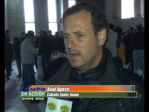 3° Jura Fenotípica de la 3ra Prueba Pastoril del Litoral - Raúl Agosti