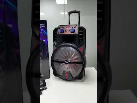 Buy MZ M441SP (PORTABLE KARAOKE SPEAKER) Dynamic Thunder Sound