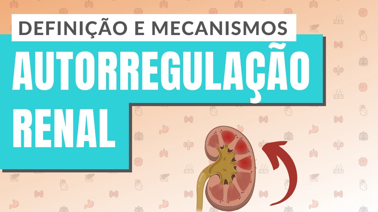 AUTORREGULAÇÃO RENAL I PARTE 1: Definição e mecanismos