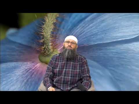 Elvedin Pezic - Opasnost odgadjanja i izostavljanja namaza u Islamu