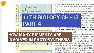Class 11 Biology|Ch.-13 |Part-4||Pigments involved in photosynthesis||Study with Farru
