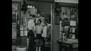 Route 66-The Swan Bed