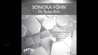 Sonora Fohn - Afro Dans La Brume (Original Mix)