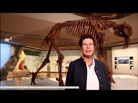 Tertiär - Begrüßung der Direktorin Prof. Dr. Johanna Eder