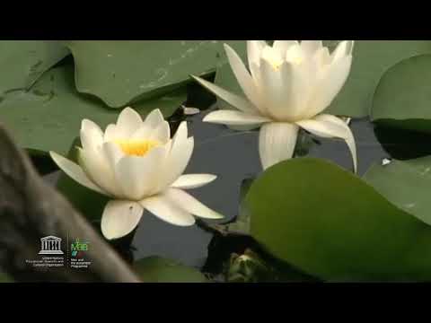 Lower Prut, Republic of Moldova