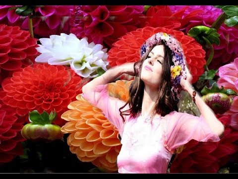 FRANS BAUER SEHNSUCHT HEISST DER HIMMEL FÜR VERLIEBTE