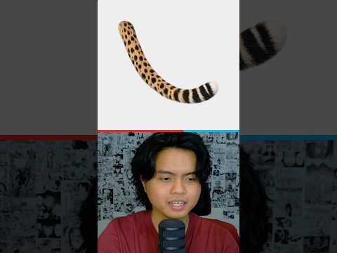 Ekor Hewan Apa Ini?🐒