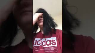 One buffalo two buffali