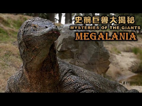mysteries of the giants Megalania screen time