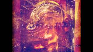 FUCK THE FACTS Skid Etiquette