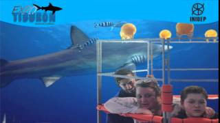 DIA 3 Expo Tiburon58