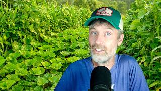 Fitting Ecological Farming into The Economy