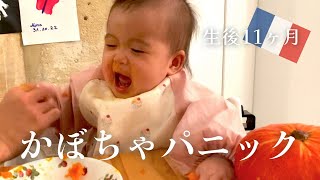 【海外在住】ハロウィンだからかぼちゃを食べたら…こうなった｜離乳食｜生後11ヶ月