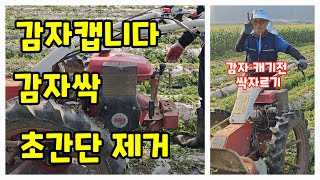 감자싹 자르기 전용기계로 초간단 제거 [감자재배방법]