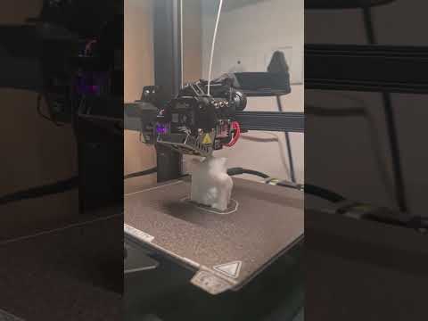 Preparing and building a 3D model