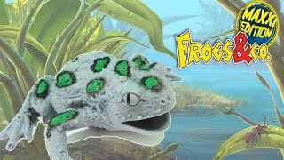 FROGS &amp; CO MAXXI EDITION Sammelfiguren BLIND BAG DE AGOSTINI Catturali Tutti EDICOLA
