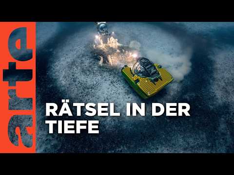 Die mysteriösen Ringe vor Korsika | Doku HD | ARTE