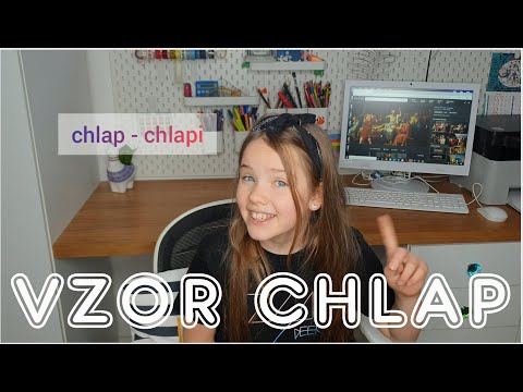 Zia Deer - mužské podstatné mená - vzor chlap - slovenský jazyk - 5.ročník