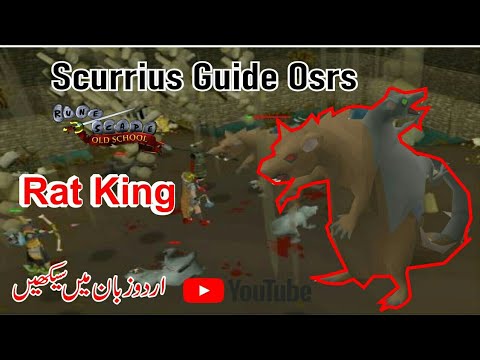 Scurrius Boss Kill Guide in Urdu