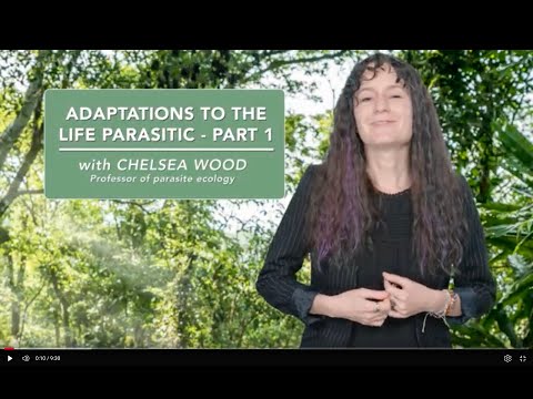 Adaptations to the life parasitic - Part 1