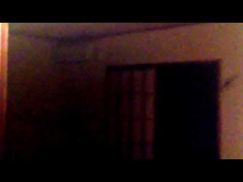 飛行中のコウモリ