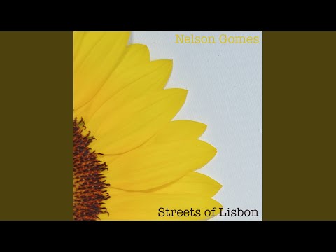 Lost in the North Sea