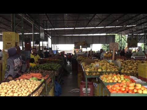 Nova Ceasa aumenta vendas de frutas ricas em água no período mais quente do ano 08 10 2022