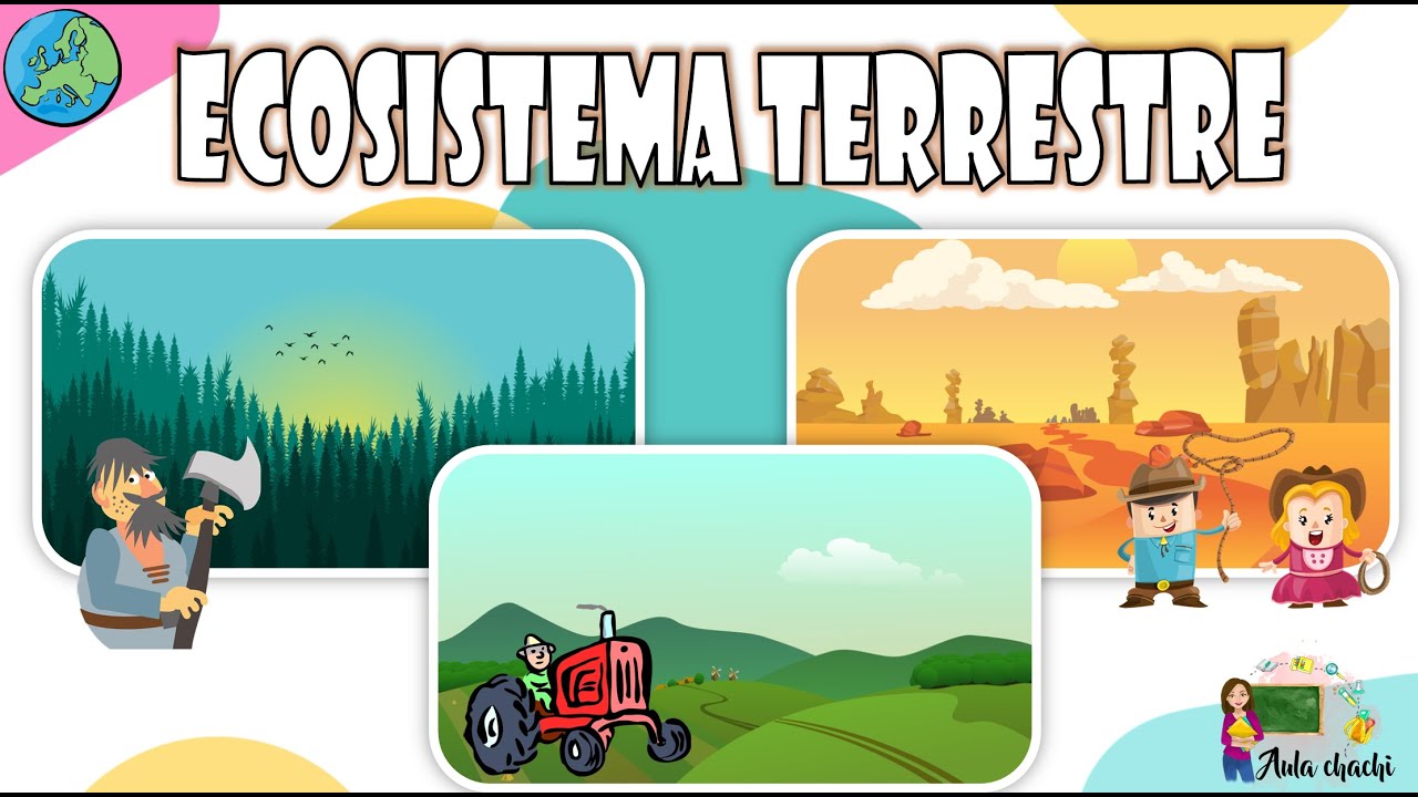 Ecosistema terrestre | Aula chachi - Vídeos educativos para niños