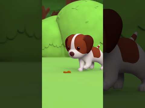 THE ANTS ARE STEALING MY FOOD! 🐜 | Leo the Wildlife Ranger | #shorts #animals #fun