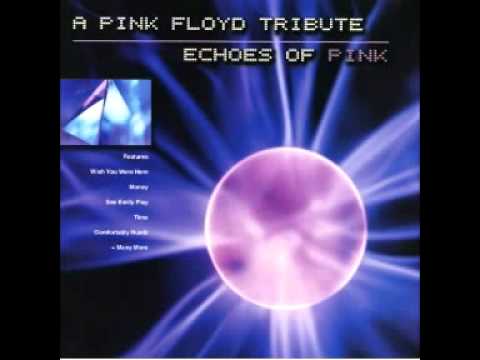 Leslie King - Money (Pink Floyd Cover)