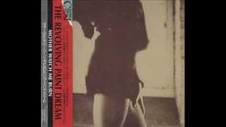 The Revolving Paint Dream - Fever Mountain