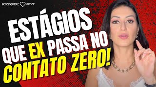Estágios que EX passa DURANTE O CONTATO ZERO!