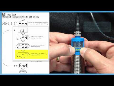 SICK UM30 213113S11 Repogram