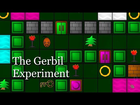 The Gerbil Experiment youtube-video