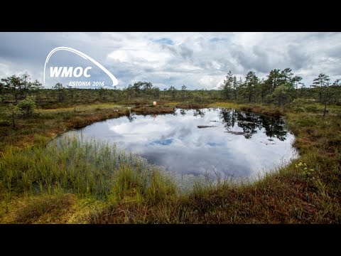 World Masters Orienteering Championships 11.08.2016 - Long distance qualification II