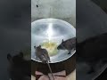 Oil Mouse Trap #shorts