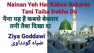 Shan E Nabi