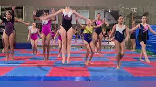 Festival de Ginástica Artística Franca