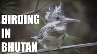 preview picture of video 'Bhutan - Birding in Paradise'