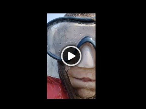 Motorola Defy    HD 1080p