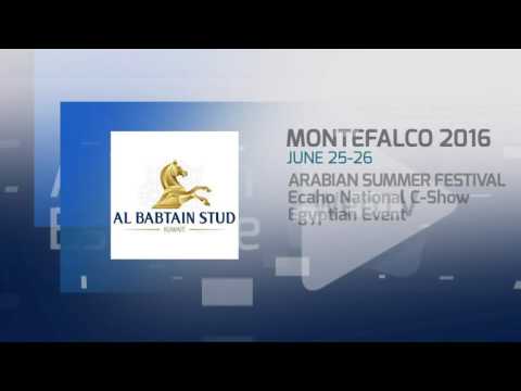 Sponsor Montefalco 2016