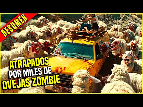 👉 resumen : LAS OVEJAS ZOMBIES SE REVELAN Y DEVORAN HUMANOS - GRANJA DE OVEJAS | Ahora te cuento
